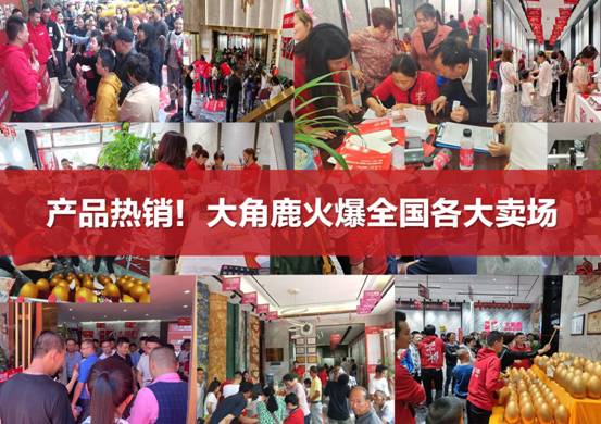 米乐m6易游瓷砖加盟选甚么品牌十大瓷砖品牌大角鹿加盟劣势解读(图7)